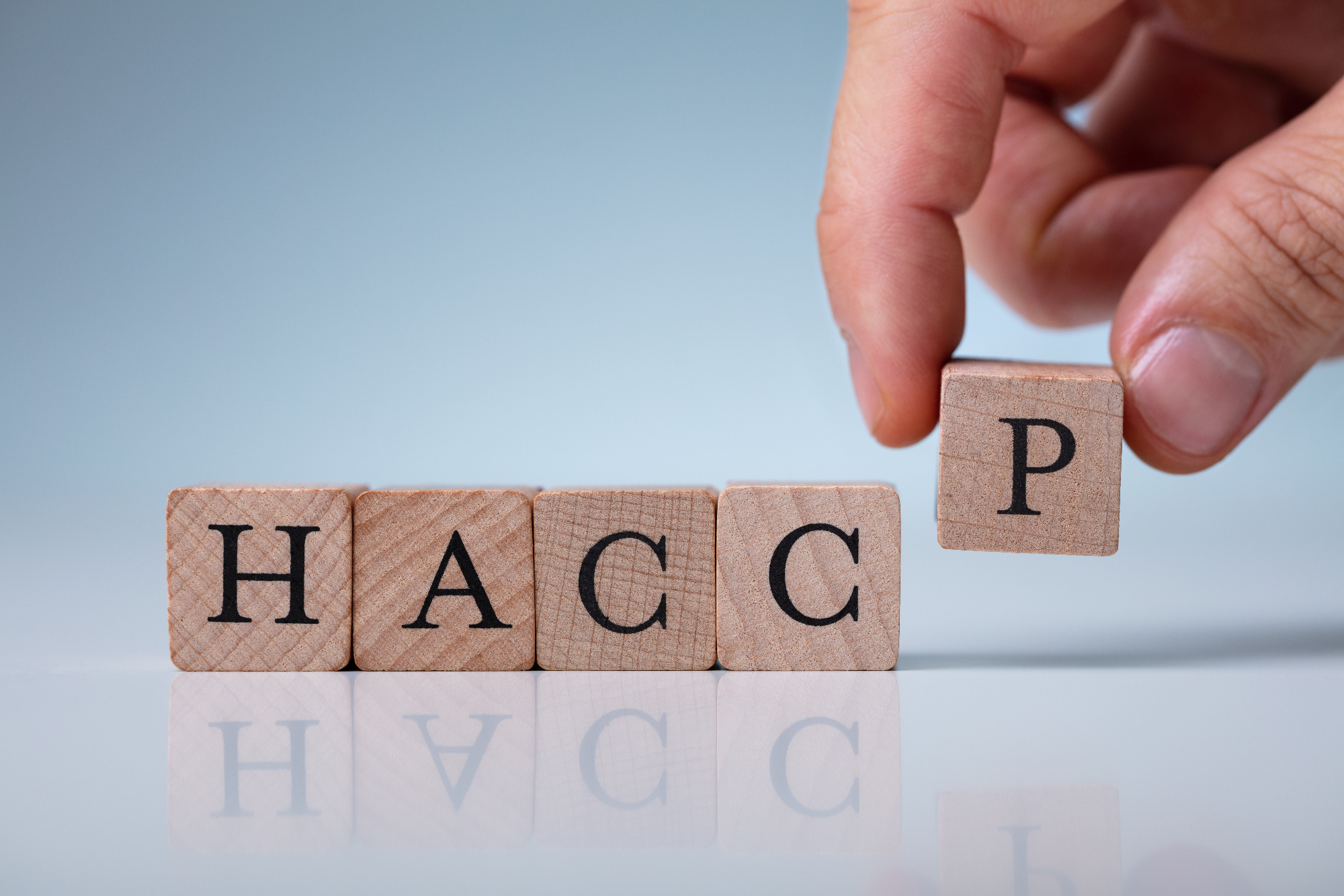 Razumevanje HACCP: Celovit vodnik za ne-strokovnjake
